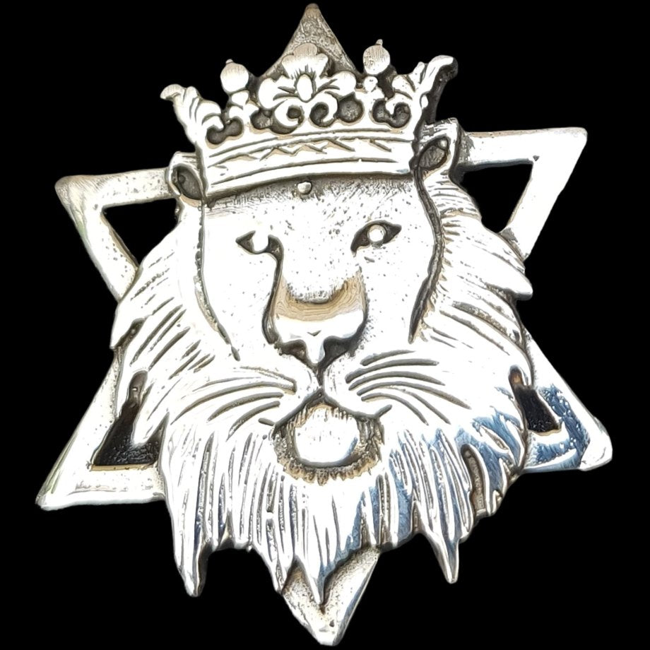 Rastafari Leon Judah Pendant In Silver 4 X 3 Cm 12 Gr Art 430 - Bricks Masons