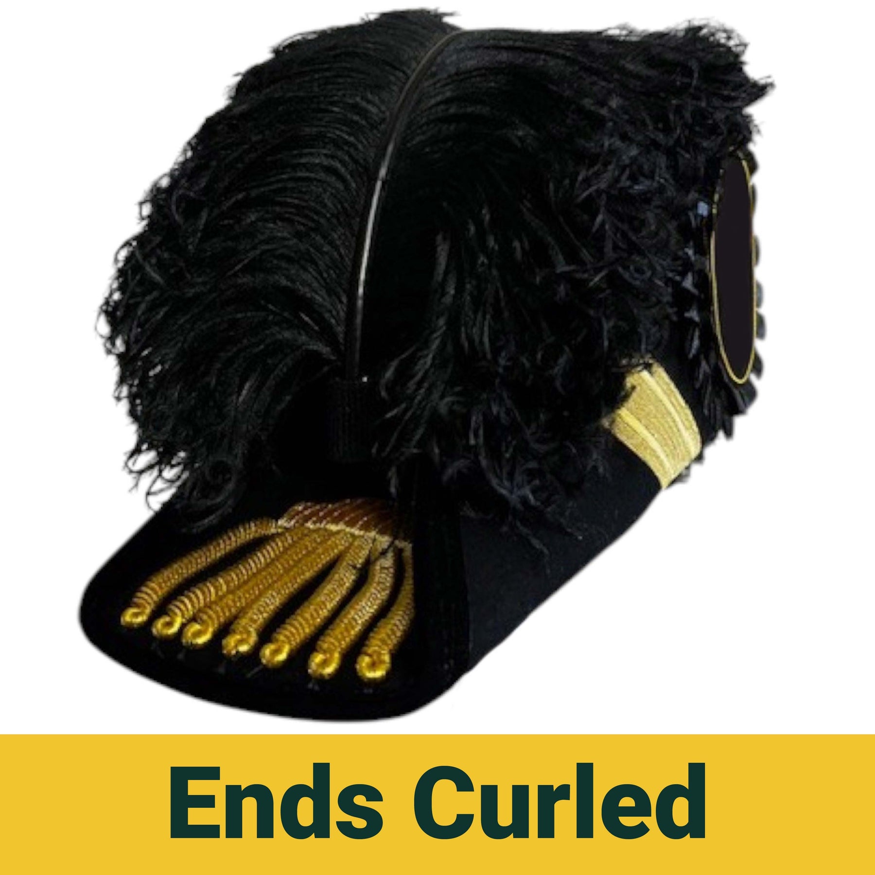 Past Grand Commander Knights Templar Chapeau - All Black Plumes