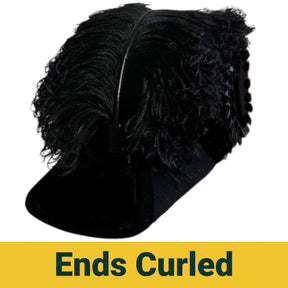 Line Officer Knights Templar Chapeau - All Black Plumes