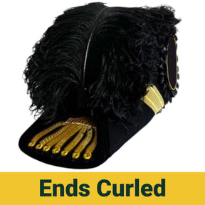 Grand Commander Knights Templar Chapeau - All Black Plumes